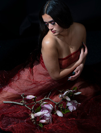 a-009_DSD0046