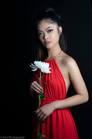 Artz1-008_DSD2606,ED1586