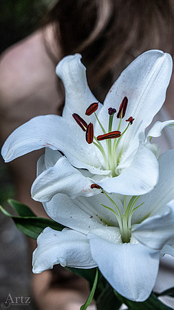 017_DSC1484 Flowers