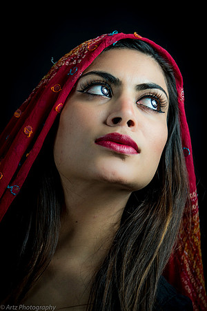 Artz Photo 6-155034