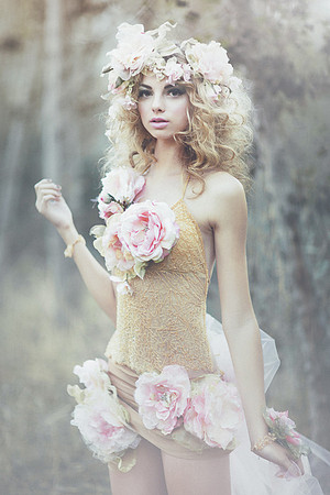 Wild rose 1