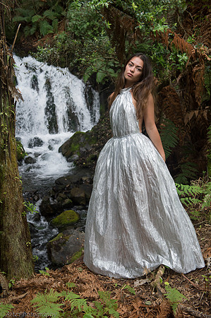 Artz1 -001_D175763
