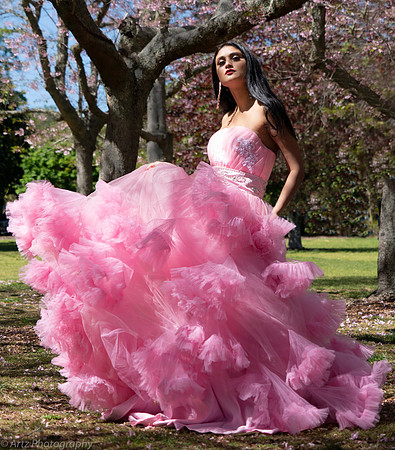 Artz-007_DSD4210,ED1376