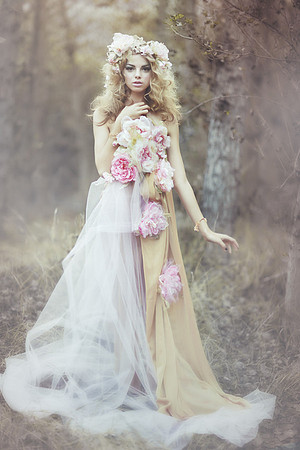 Wild rose 2