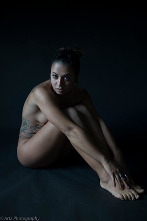 Artz 8b-012_D150555