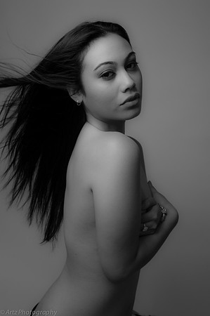 Fine Art 2013 -138235