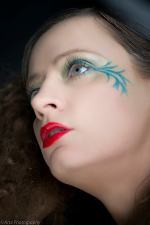 Artz Photo 1 -2456