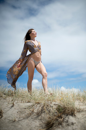 Artz1-016_D173128