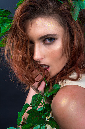 Artz1-002_D169187
